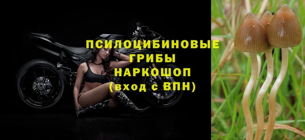 каннабис Вяземский