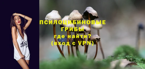 твердый Корсаков